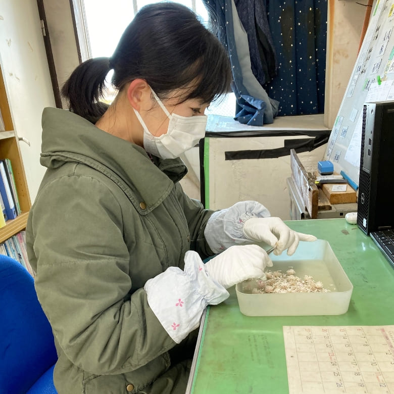 企画開発